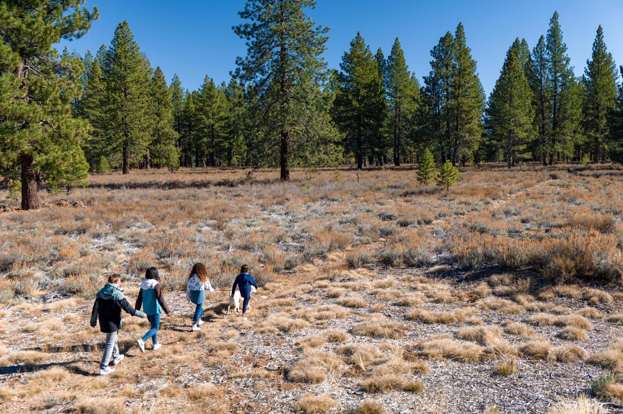 The Cottages - Golf, Pool, Play - 3-Bedroom Truckee Luaran gambar